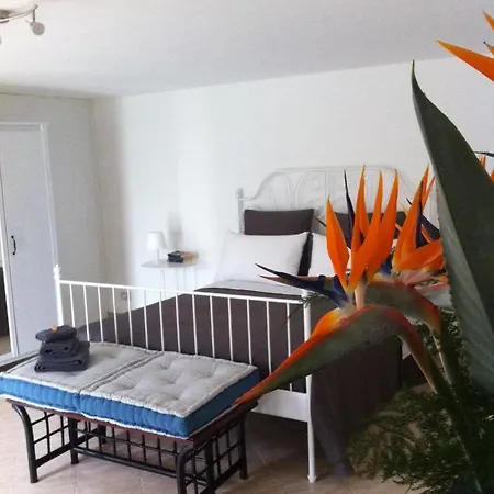 Apartment La Rina *