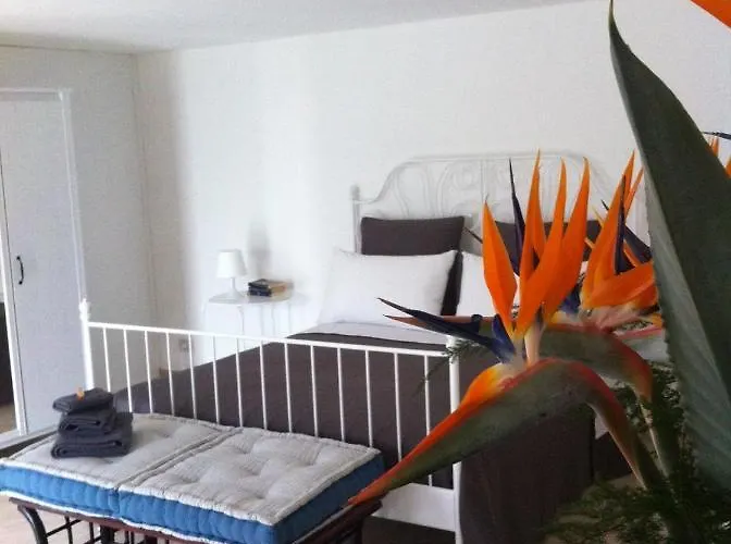 Appartamento La Rina *